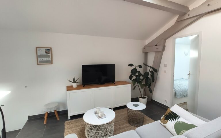 Coin salon confortable avec télévision écran plat et décoration moderne.