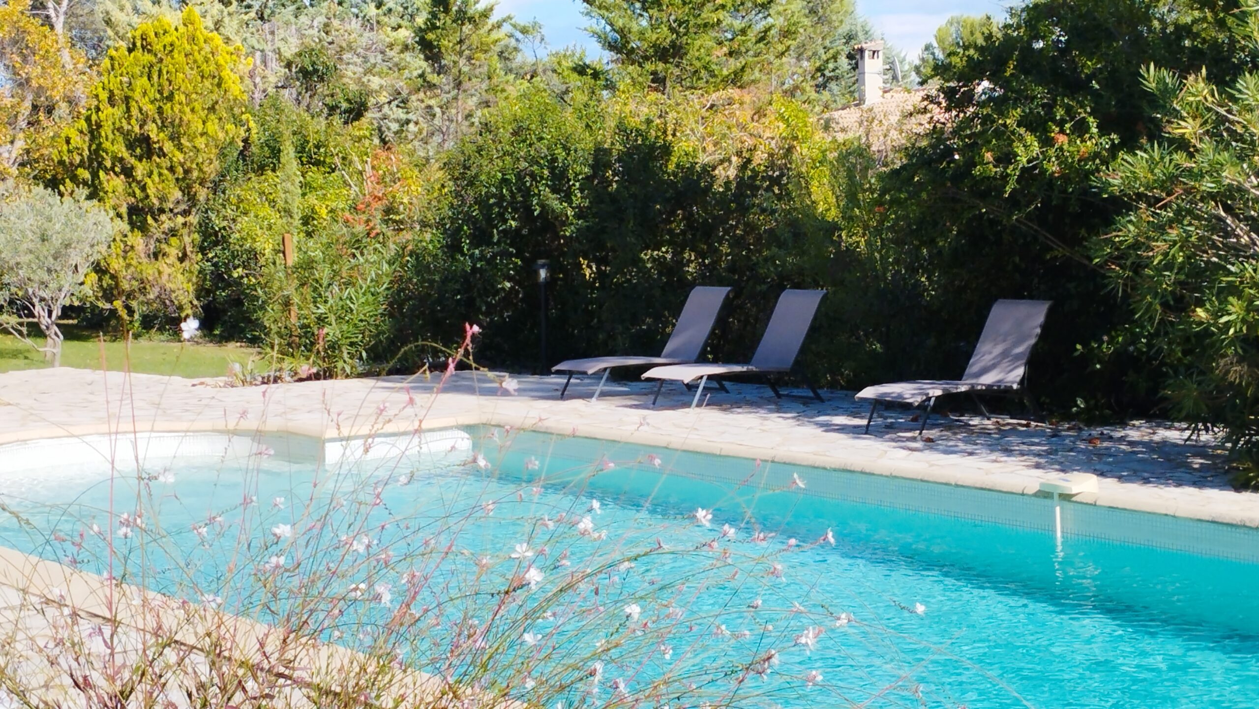 Transats installés au bord de l'eau turquoise de la piscine pour un moment de détente au calme.