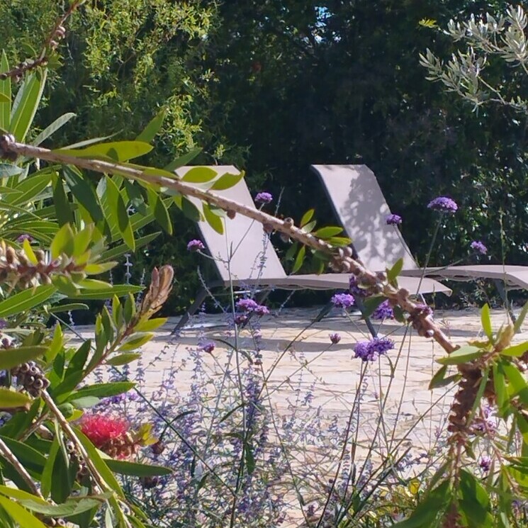 Transats installés dans le jardin fleuri et calme pour la détente au soleil.